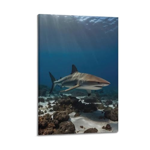 Grand requin blanc affiche poster sur toile deco murale moderne salon 60 x 90