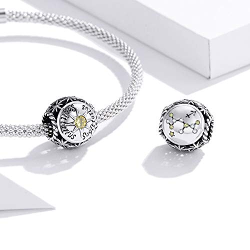 Image of 12 Constellation Charms 925 Sterling Silver Crystal Zircon Charms Family and Friends' Birthday Charm Birthstone Charms for Women Bracelets