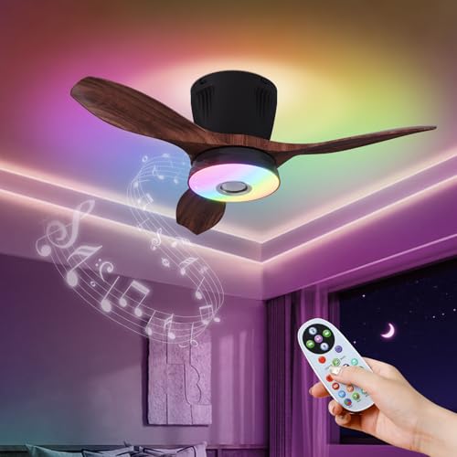 WVMNQO RGB Fan Light with Bluetooth Speaker, 21
