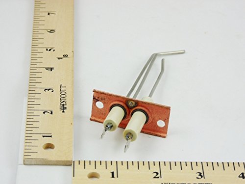 22100000630 IGNITOR SENSOR