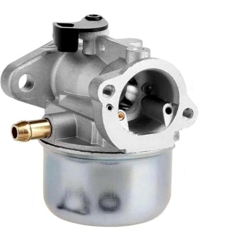 Carburateur Briggs & Stratton pour petit moteur résolvant les pannes de démarrage