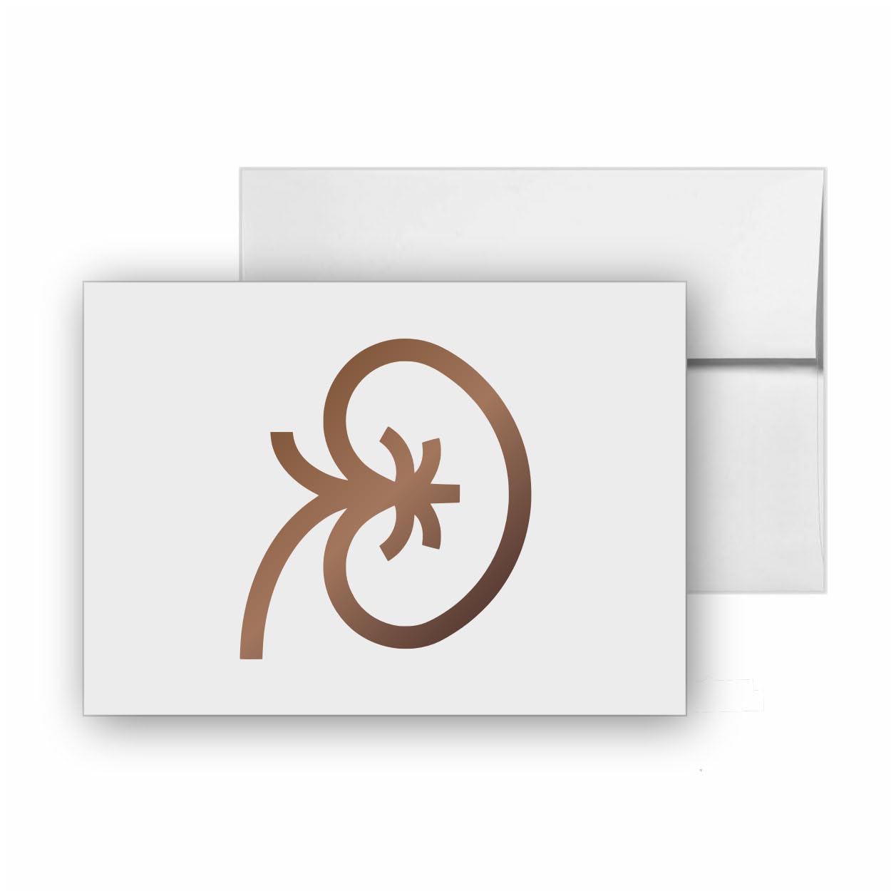 Kidney Anatomy Body Human Organ, quality blank cards CC-26210