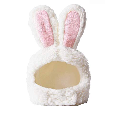 iwobi Costume per gatti carino per animali domestici