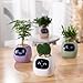 Imagen de PLANTSIO AI Robot Inteligente para Plantar Mascotas con guía para el Cuidado de Plantas y Emojis Adorable compañero Vegetal con una Rica interacción gestual
