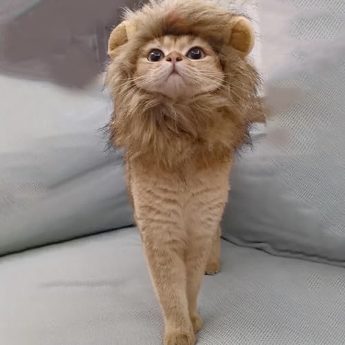 Lista de Disfraz de gato disponible en línea para comprar. 29 Imagen adicional