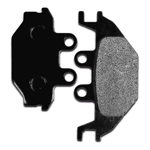 Disco de Freio Traseiro e Pastilhas Moto Dafr4 Next 250