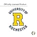 Desert Cactus University of Rochester Yellowjackets Vinyl Decal Laptop Water Bottle Car Scrapbook Sticker (IND 009)