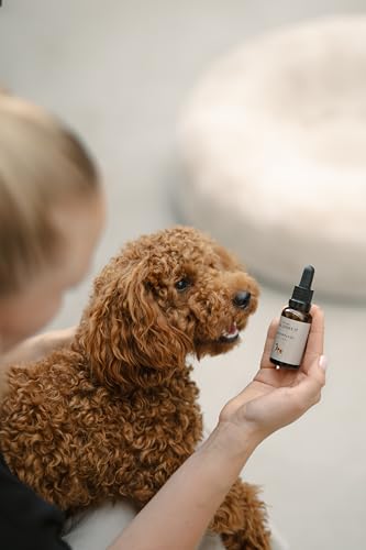 Augenpflege für Hunde – sanfte Reinigung, beruhigt und regeneriert, löst Verkrustungen und Schmutz, spendet Feuchtigkeit, mit Kühleffekt, AUGENPFLEGE von LILA LOVES IT, 30 ml