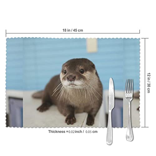 Cute Otter Printed Placemats 6-Piece Set Of Insulated Non-Slip Table Mats Washable For Kitchen Table Decoration (12 X 18 Inches) #TOP4