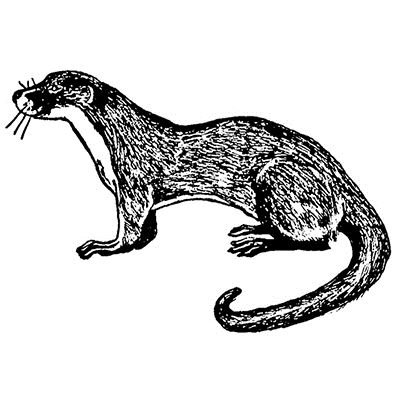2 inch Otter rubber stamp - 5282