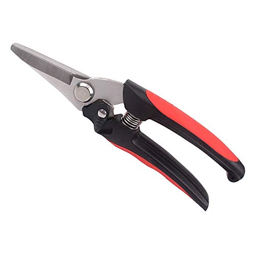 ATAAY Attrezzo per innesto da Giardinaggio in Acciaio Inossidabile Attrezzi per potatura per Alberi da frutto Forbici Antiscivolo Forbici per potatura