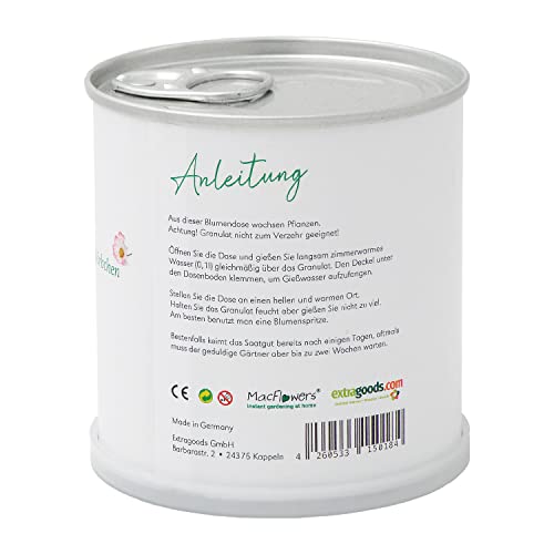 MacFlowers® | Anzuchtset mit Schmuckkörbchen | Ostergrüße Osterhase Ostern | Geschenkset mit Einer Sorte Samen in süßer instant Gardening Blumendose