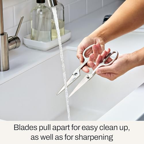 image for All-Clad Stainless Steel, All Purpose Kitchen Shears,Heavy gauge, Ergo