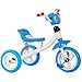 MissZZ Triciclo per Bambini, Bicicletta per Bambini Piccoli, Passeggino Leggero Musicale, Carrozzina Antiurto