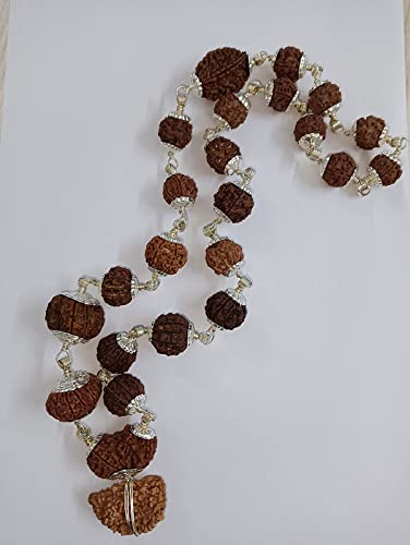 The Gallery Of Gemstones 1 to 14 Mukhi Holy Beads Gauri Shankar Ganesh Rudraksha Nepali Beads Rosary with Silver Capping Blessed by Lord Shiva Sarva Siddha Mala Original Certified by Lab