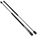 (2) 20 Inch 20 lbs Gas Prop Lift Springs Rod Struts Heavy Duty Tool Box Lid Top RV Pair