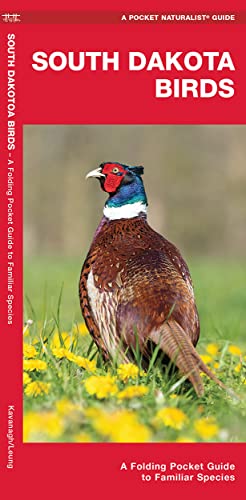 South Dakota Birds: A Folding Pocket Guide To Familiar Species (Wildlife And Nature Identification) #TOP5