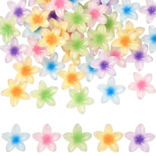 Cabochons de fleurs en résine SUNNYCLUE : lot de 50 pièces transparentes colorées