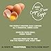 Al Dente Golden Egg Bonnetti – All-Natural, Hand-Crafted Egg Pasta. Traditional Pasta Noodles Made with Cage-Free Eggs and Semolina. Great for Pastas, Soups, Stews. 12oz Bags (Pack of 6)