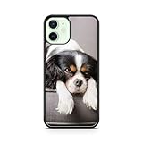 bouledogue americain elevage suisse  Générique Coque pour Iphone 12 Silicone TPU Chien Dog Animal Chat Race Staff americain Bouledogue Francais Yorkshire Chihuahua 200 Ref 476