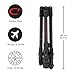 Manfrotto Befree GT PRO 4-Section Carbon Fiber Travel Tripod with 3-Way Pan/Tilt Head, Black