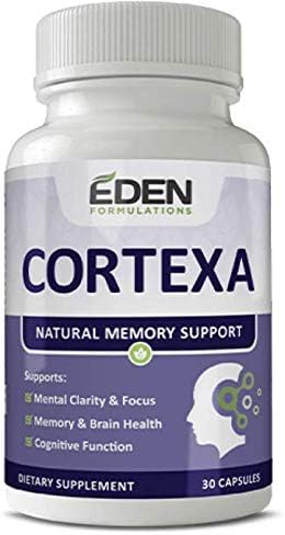 Cortexa : Natural Memory Support
