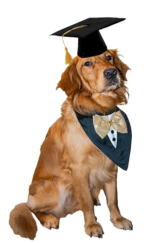 Sombrero de Graduación para Perro con Borla Amarilla miniatura 2