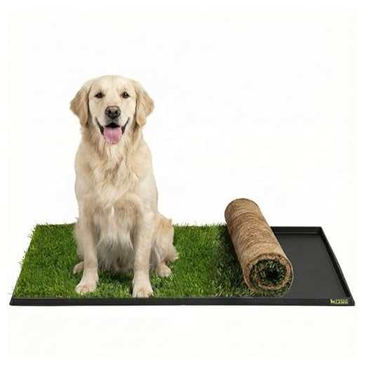 DoggieLawn XL - Real Grass Disposable Pet Potty - 48 x 24 Inches with Plastic Tray - Potty Training Pad for Dogs