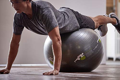 Gaiam-Restore-Self-Guided-Stability-Ball-65cm