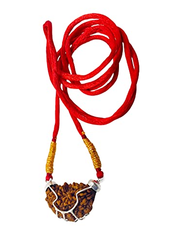 Image of Siddha 1 / One Mukhi Pure Rudraksha, Laboratory Certified, Carefully Capped with Silver Between Indian Beads with Handmade Tassel, Size 28mm-34mm, Color-Brown (1 Mukhi Silver Rudraksha)