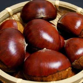栗 - Amazon.co.jp
