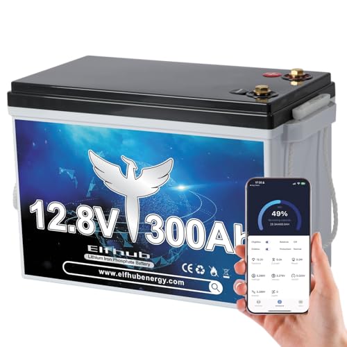 12V 300Ah LiFePO4 Lithium Battery, Bluetooth LiFePO4 Battery.Built-in 200A BMS,Max.3840Wh, 4000-15000 Deep Cycles & 10-Year Lifetime, Perfect for Off-grid Solar Home System, RV, etc