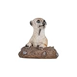 WETTERFEST: Das langlebige Material eignet sich perfekt für den Außen Bereich. Die kleine Erdmännchen Figur ist wind- und wetterbeständig. Zudem ist die Gartendeko frostbeständig.