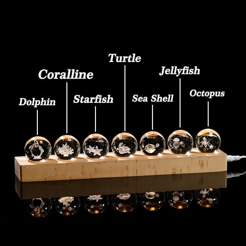 Image of Qianwei 3D Crystal Ball Sea Glass Ocean Decor with Led Lamp Base - Best Birthday Gift for Man Teacher Boy Kids - Dolphin Shells Coral Starfish Sea Turtle Jellyfish Octopus Gifts