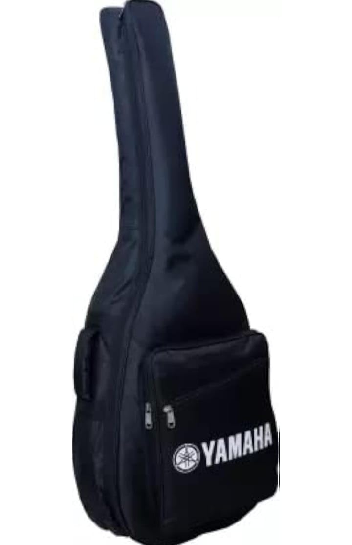 TIJARAT Heavy Padded Cover Guitar Bag-picture-18