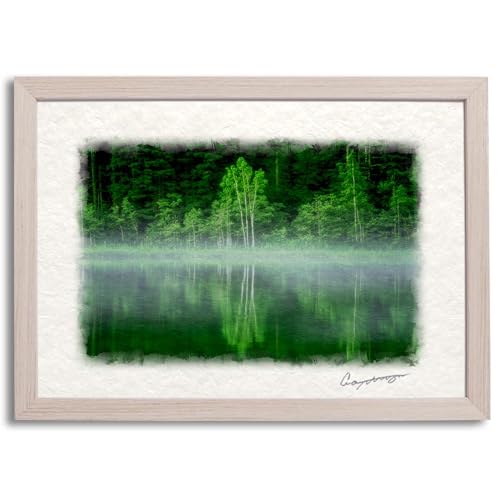 Natural Memories 風水 絵 絵画 玄関 インテリア アートパネル 風景画 おしゃれ 壁掛け 和紙の絵写真 「朝霧の湖に映る新緑の白樺」 平面額縁付き 32x23cm 木 初夏