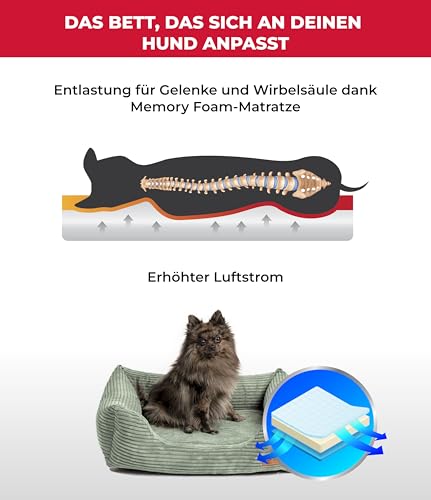 HS-Hundebett® Kuschelbett Deluxe Cord S (60x75 cm) – Orthopädisches Hundebett Grün für mittelgroße Hunde – Memory Foam, waschbar, rutschfest – Made in Germany