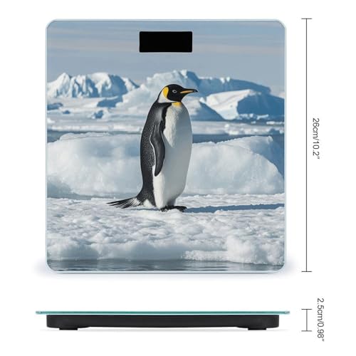 Báscula digital Penguin Antarctica Ice para baño miniatura 2