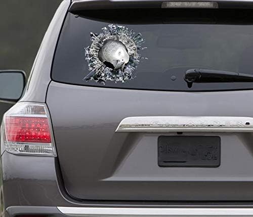 Miniatura 2 de Adhesivo gris para ventana, calcomanía de coche, calcomanía de coche de loros para automóviles, ventanas, paredes, refrigerador, 6 pulgadas