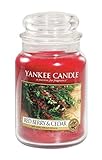 Red Berry & Cedar Yankee Candle® 22 oz