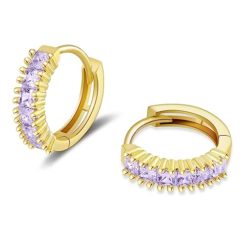 STAYLOVE Small Gold Hoop Earrings for Women 14K Real Gold Plated Mini Cartilage Hypoallergenic Purple Cubic Zirconia Birthstone Gold Huggie Earrings for Women (June)