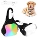 Derlights Dog Light with USB Rechargeable, Fashion Light Up Dog Collar Light, Led Safety Emergency Dog Lights for Night Walking, Running, Pet, Camping or Bike, IP65 Waterproof, 2 Pack