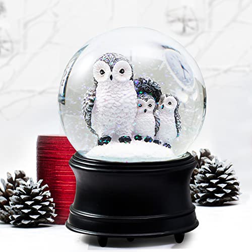 Artpaul Owls Musical Snow Globe Family Themed Water Globe Wind Up Music Box Holiday Decorations (Black) #TOP1