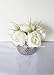 Sweet Home Deco Silk Peony Arrangement in Silver Ceramic Vase Table Flower Home Decor Wedding Centerpiece (White)