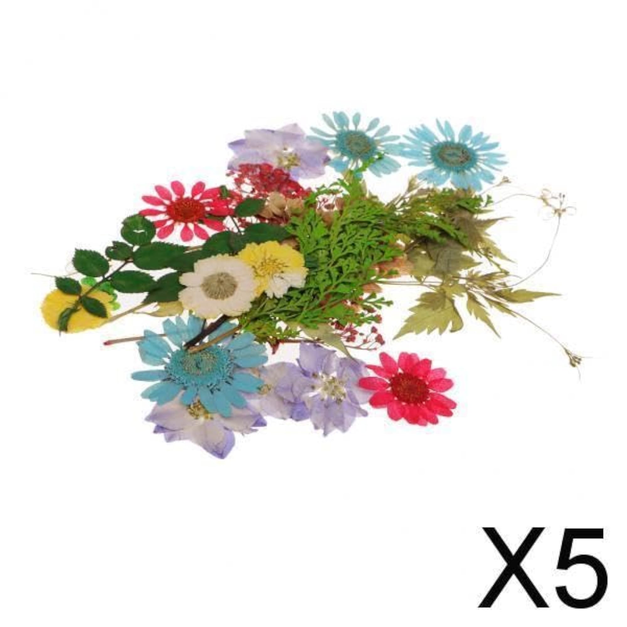 Natural Pressed Dried Flowers Leaves Art Craft