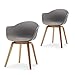 Damiware Romeo Wohnzimmerstuhl Esszimmerstuhl 2er-Set Grau Polypropylen und Buchenholz Retro Design Stuhl für Büro Lounge Küche Wohnzimmergrey (Grau)