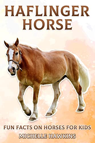 Haflinger Horse: Fun Facts on Horses for Kids #5