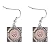 Portal 2 Companion Cube Earrings Ear rings