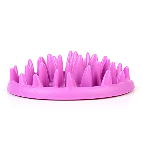 Gamelle anti-glouton interactive Adogo pour animal de compagnie et chiot, 28 cm, violet