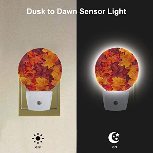 Image of EKOBLA Autumn Maple Leaves Night Light, Fall Red Orange Leaf Night Lights Plug Into Wall with Dusk to Dawn Sensor, Warm Nightlights for Bedroom, Bathroom, Hallway, Kitchen